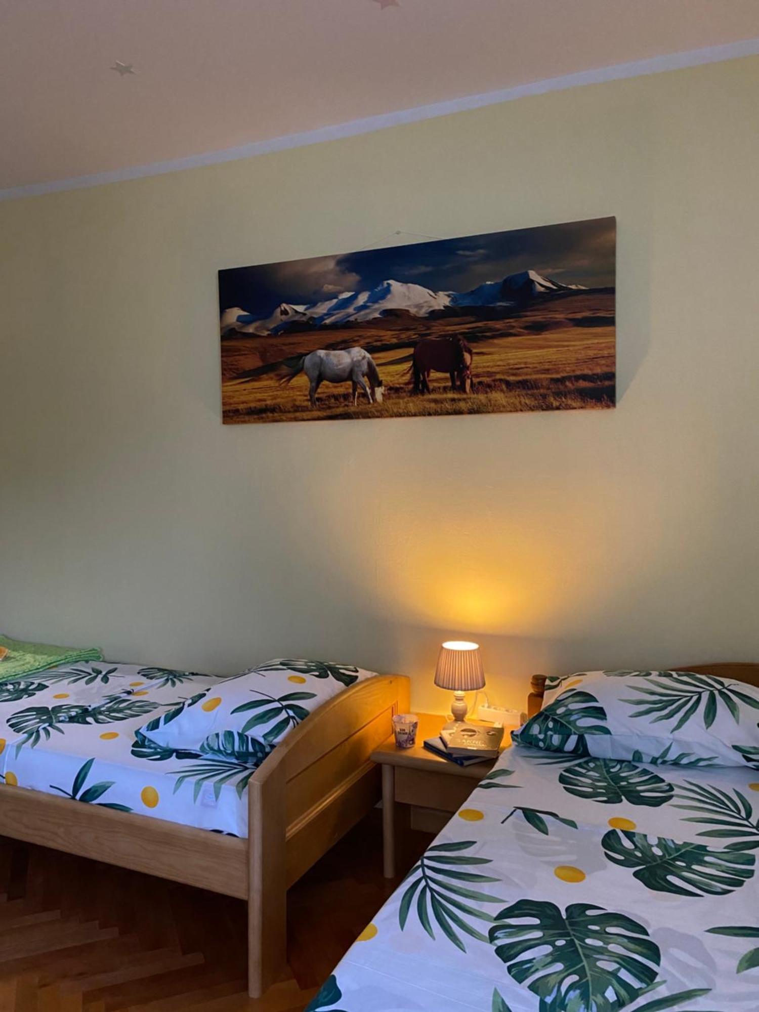 Apartman Sara Plužine Kültér fotó